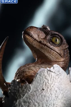 Velociraptor Egg Hatching Statue