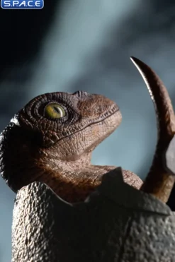 Velociraptor Egg Hatching Statue