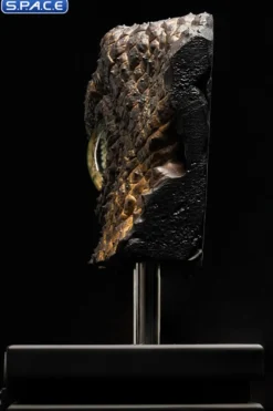 1:1 Velociraptor Eye Life-Size Replica