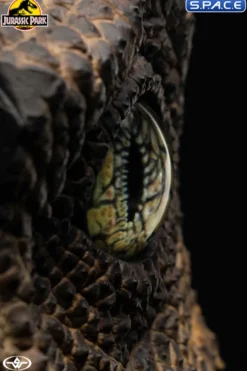 1:1 Velociraptor Eye Life-Size Replica