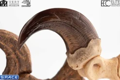 1:1 Velociraptor Foot Claw & Fossil Claw Life-Size Replica Set