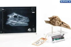 1:1 Velociraptor Resonating Chamber Life-Size Replica