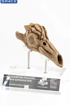 1:1 Velociraptor Resonating Chamber Life-Size Replica