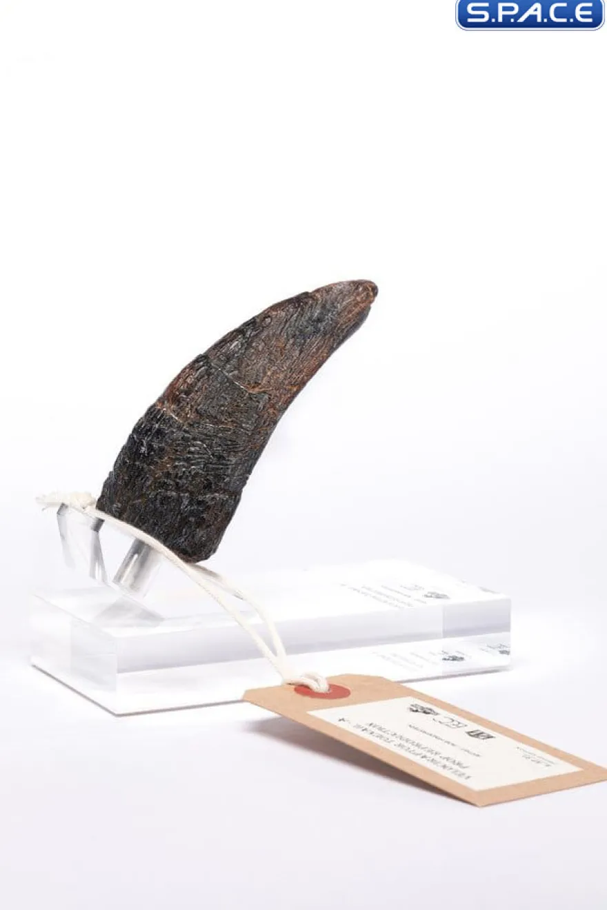 Velociraptor Toenail Type A Prop Replica