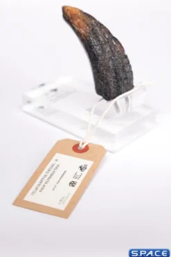 Velociraptor Toenail Type A Prop Replica