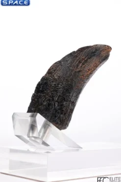 Velociraptor Toenail Type A Prop Replica
