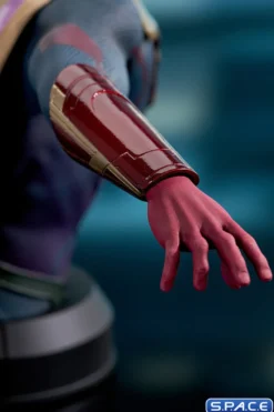 Vision Bust