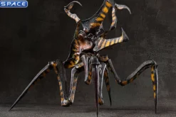 Warrior Bug Exquisite Basic