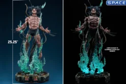 Wolverine: Weapon X Premium Format Figure