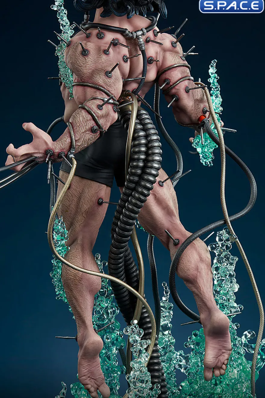 Wolverine: Weapon X Premium Format Figure