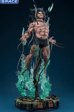 Wolverine: Weapon X Premium Format Figure