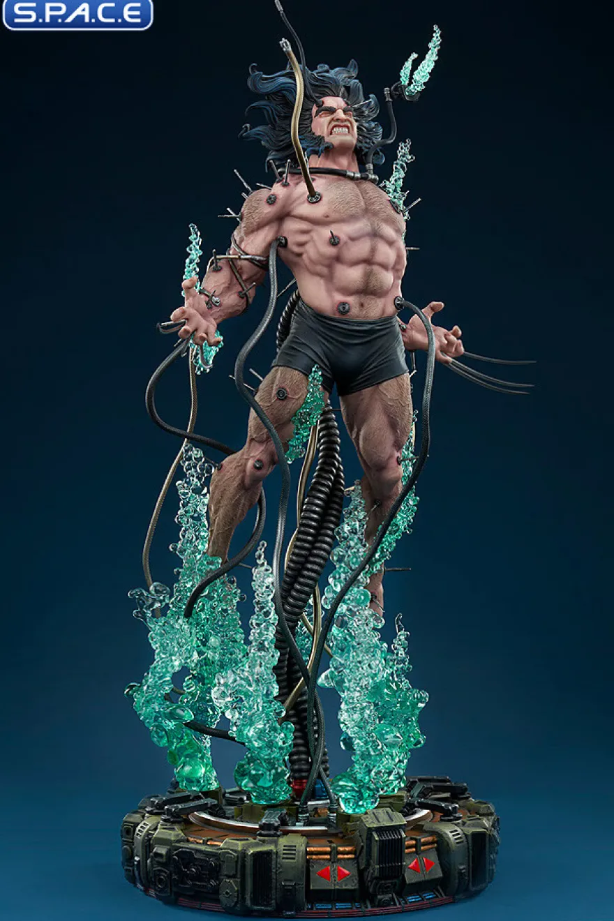Wolverine: Weapon X Premium Format Figure