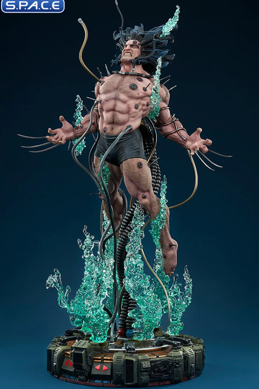 Wolverine: Weapon X Premium Format Figure
