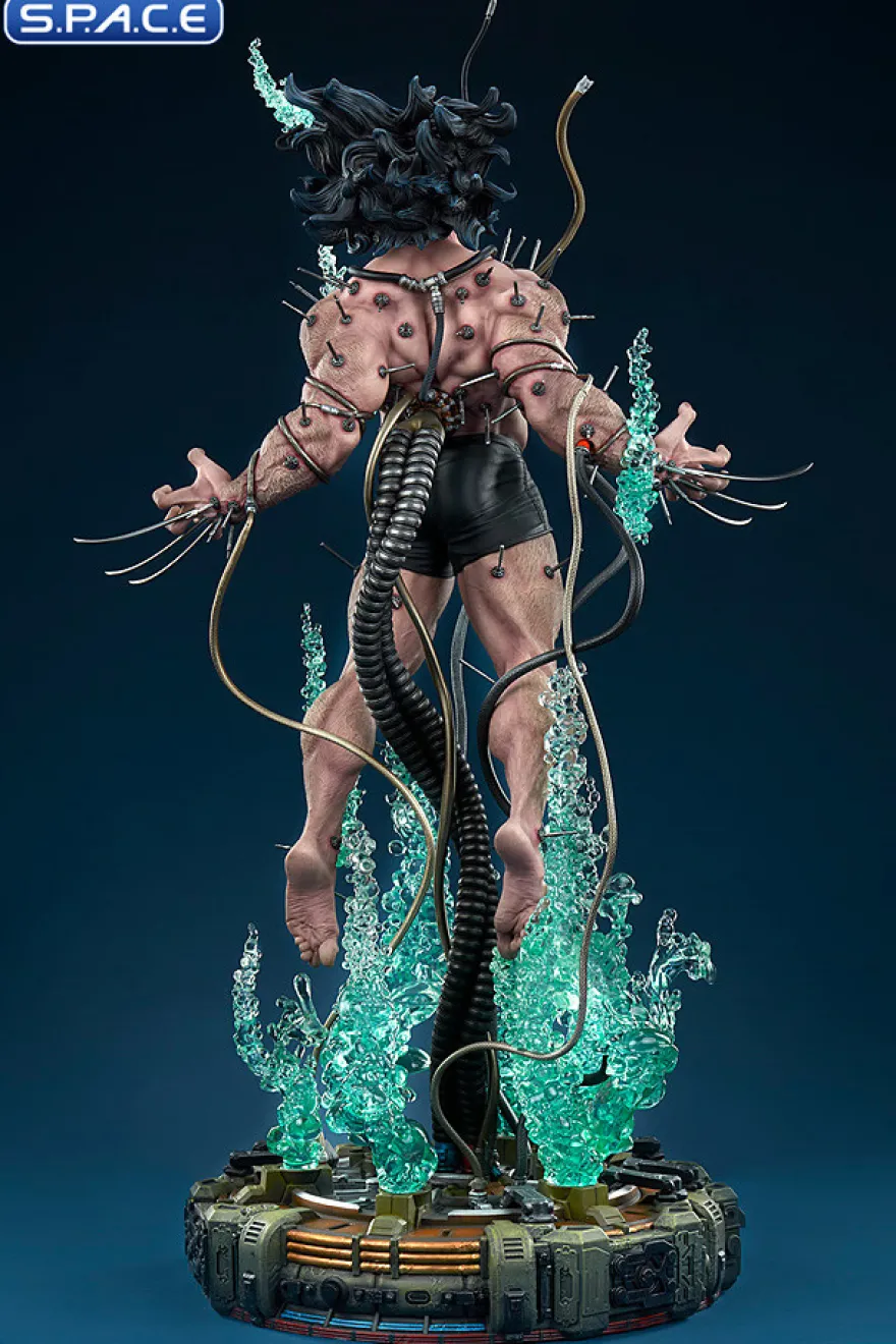 Wolverine: Weapon X Premium Format Figure