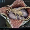 Xenomorph Egg Premium Masterline Statue - open Version