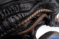 1:1 Xenomorph Life-Size Bust