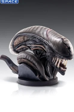 1:1 Xenomorph Life-Size Bust