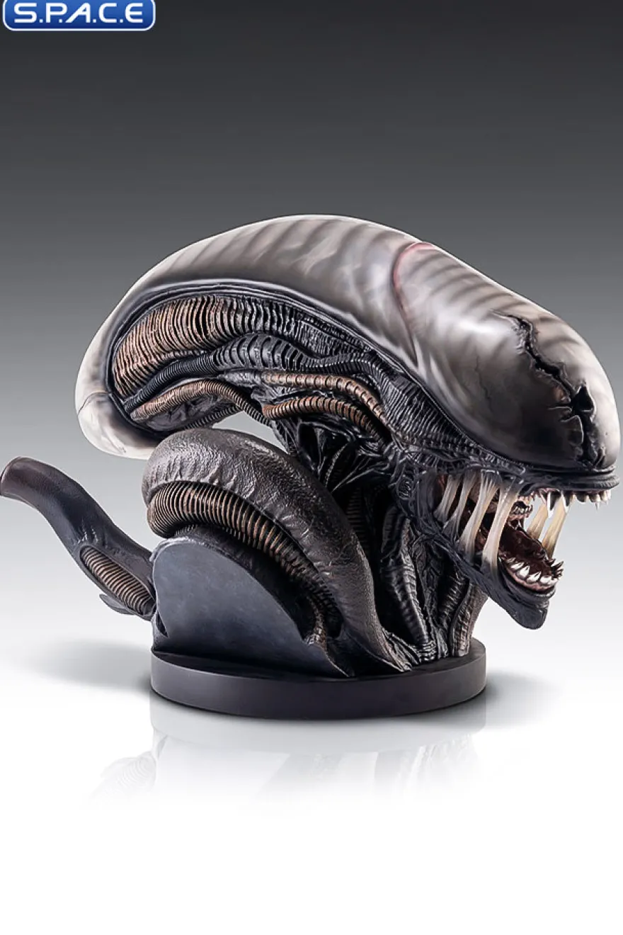 1:1 Xenomorph Life-Size Bust
