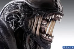 1:1 Xenomorph Life-Size Bust
