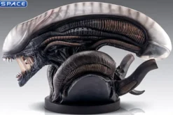 1:1 Xenomorph Life-Size Bust