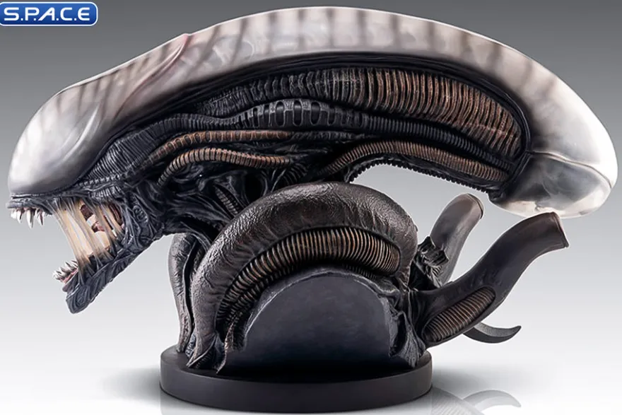 1:1 Xenomorph Life-Size Bust