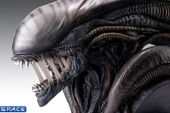 1:1 Xenomorph Life-Size Bust