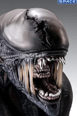 1:1 Xenomorph Life-Size Bust
