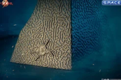 1:1 Young Barry Cowl Life-Size Replica