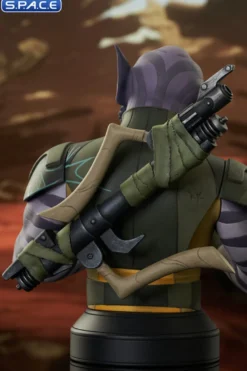 Zeb Bust