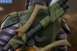Zeb Bust